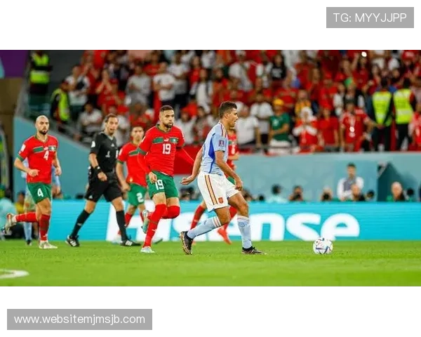 世界杯奖金分配方案详解：各国球队奖金比例及分配原则分析