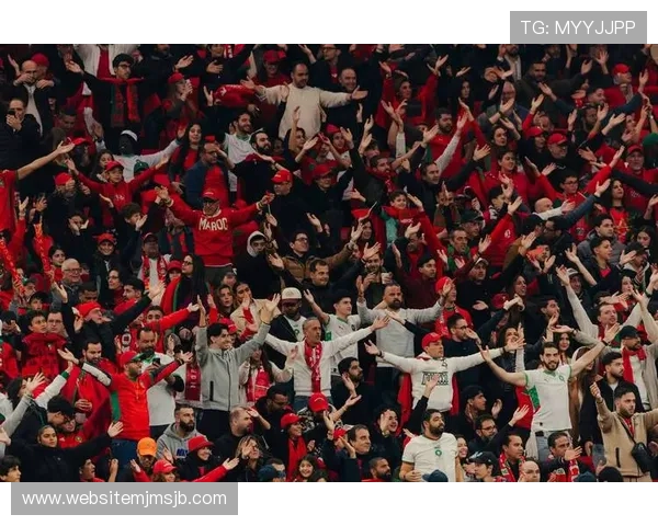 最新世界杯参赛国家图片欣赏，感受不同国家足球文化的独特魅力与精神风貌